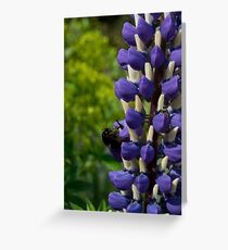 Untitled Greeting Card