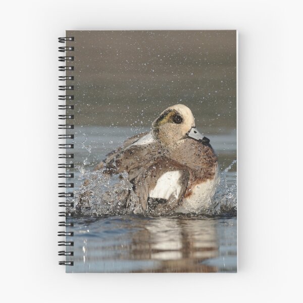 Item preview, Splashing Wigeon designed and sold by Wild One.