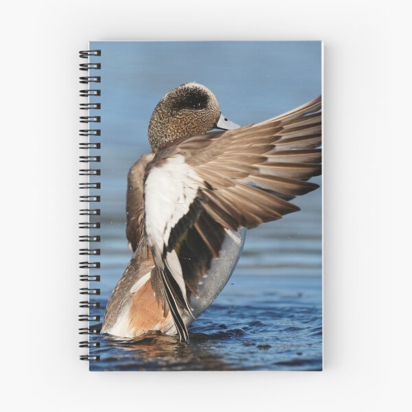 Item preview, Wings of the Wigeon designed and sold by Wild One.