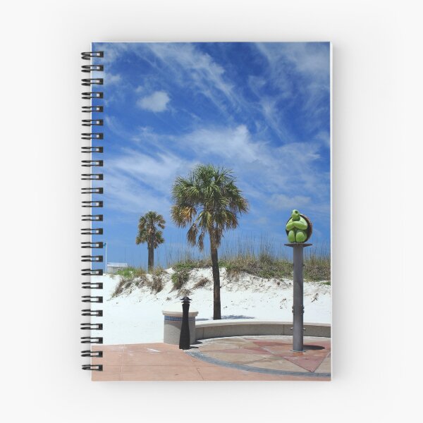 Item preview, Turtle Beach, Clearwater designed and sold by Wrayzo.