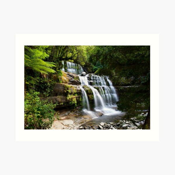 Liffey Falls Art Print
