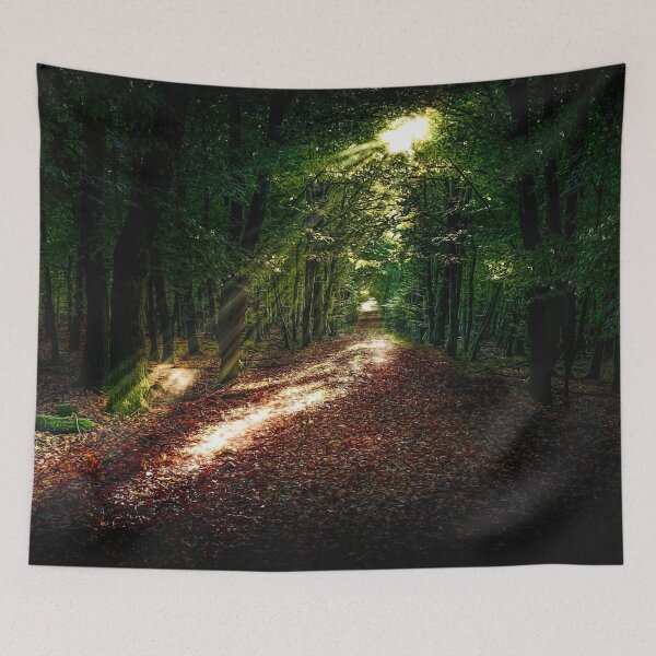 Item preview, Forest Sunlight designed and sold by AngustheBean.
