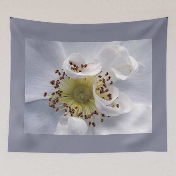 Item preview, White Wild Rose designed and sold by Len Bomba.