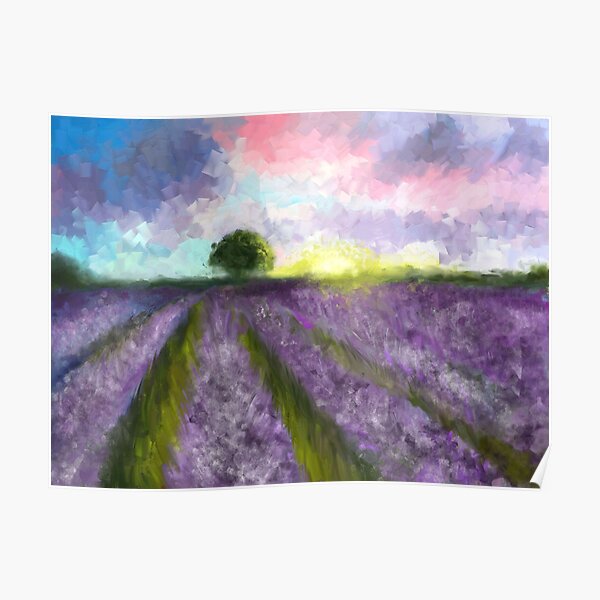Lavender field Poster