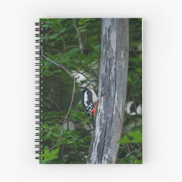 Item preview, Bird designed and sold by BiceksPhoto.