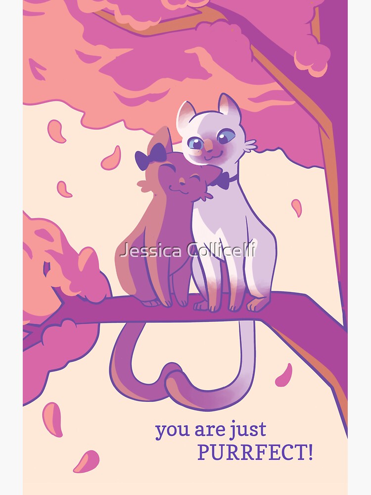 "You are just PURRFECT!" Sticker for Sale by JessCollicelli Redbubble