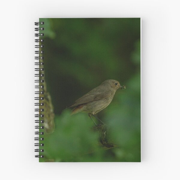 Item preview, Bird designed and sold by BiceksPhoto.