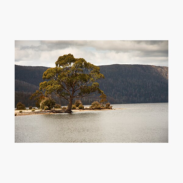 Item preview, Lake St Clair, Overland Track, Tasmania designed and sold by Roger Barnes.