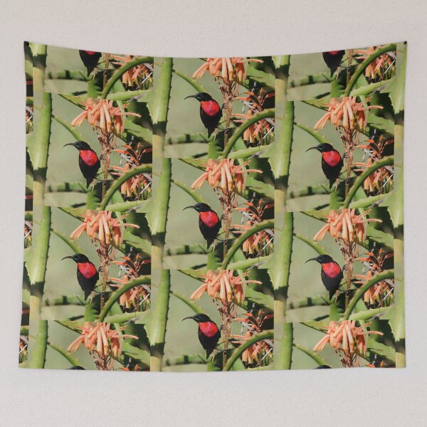 Item preview, Red sunbird on bamboo designed and sold by MongooseMadness.