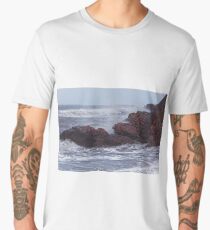 ROCKS AND WATER Men's Premium T-Shirt