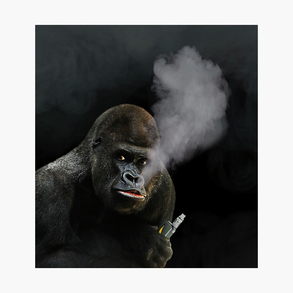 Gorilla Vape Magnet