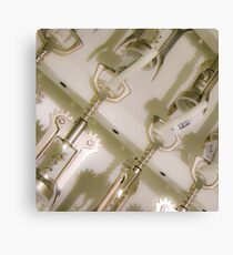 corkscrews Canvas Print