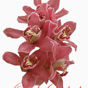 Artwork thumbnail, Pink Orchid by Alex Gardiner