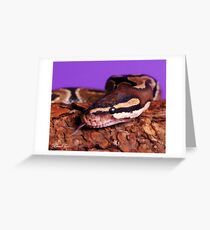 Slithery Greeting Card