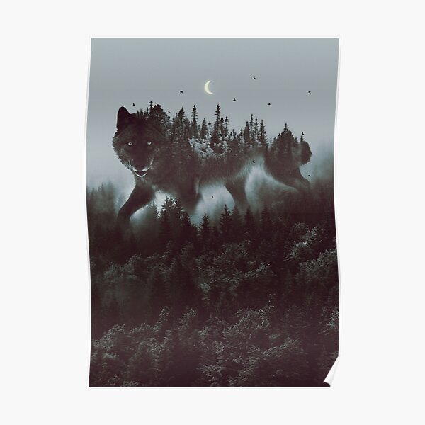 noctivagant Poster