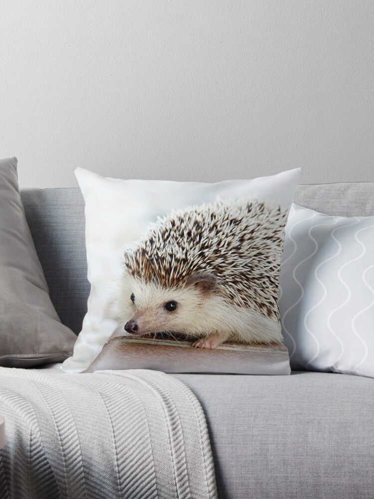 Hedgehog throw discount