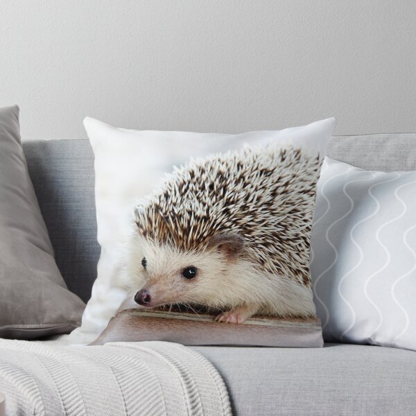Item preview, Cute Baby Hedgehog designed and sold by rewstudio.
