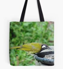 White-Eared Honeyeater Tote Bag