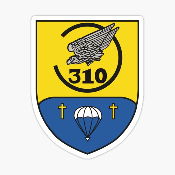 Aperçu de l'œuvre Luftlandaufklärungkompanie 310 - Compagnie de reconnaissance aéroportée (Bundeswehr allemande) créée et vendue par wordwidesymbols.