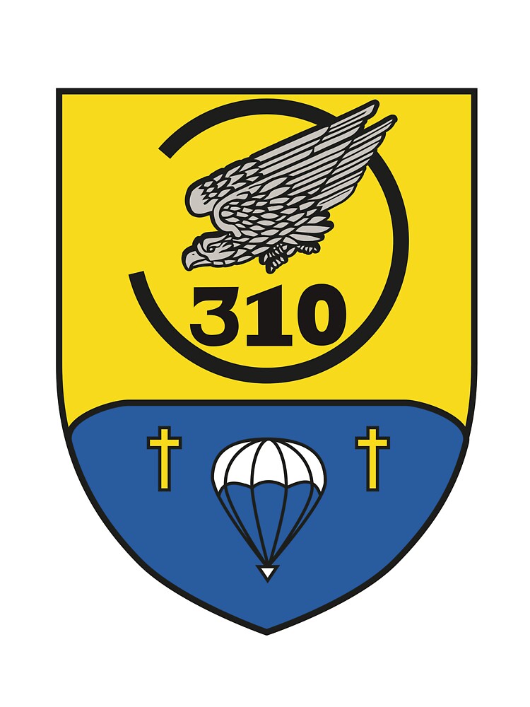 Luftlandaufklärungkompanie 310 - Airborne reconnaissance company (German  Bundeswehr)