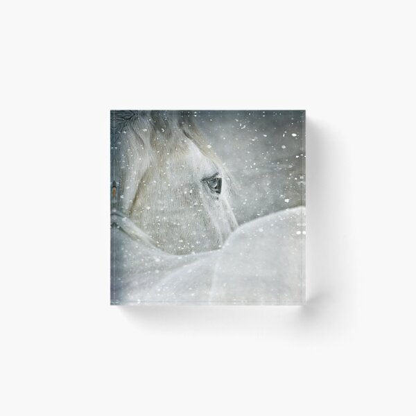 Item preview, Winter Horse and Bird  designed and sold by Dawn van Doorn.