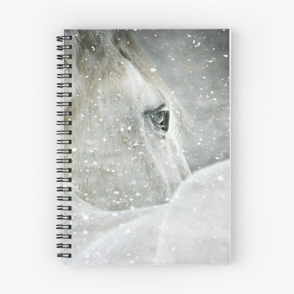 Item preview, Winter Horse and Bird  designed and sold by Dawn van Doorn.