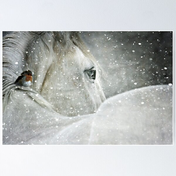 Item preview, Winter Horse and Bird  designed and sold by Dawn van Doorn.