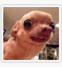 Dog meme Sticker
