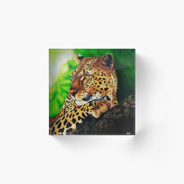 Acrylic Block