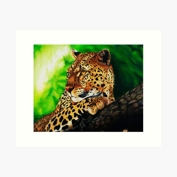 Jaguar Art Print
