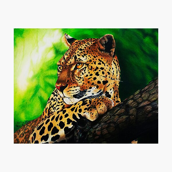 Photographic Print