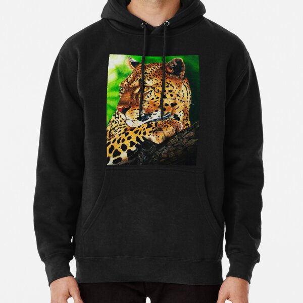 Hoodie (Pullover)