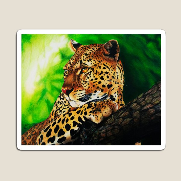 Jaguar Magnet