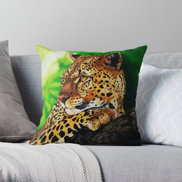 Throw Pillow