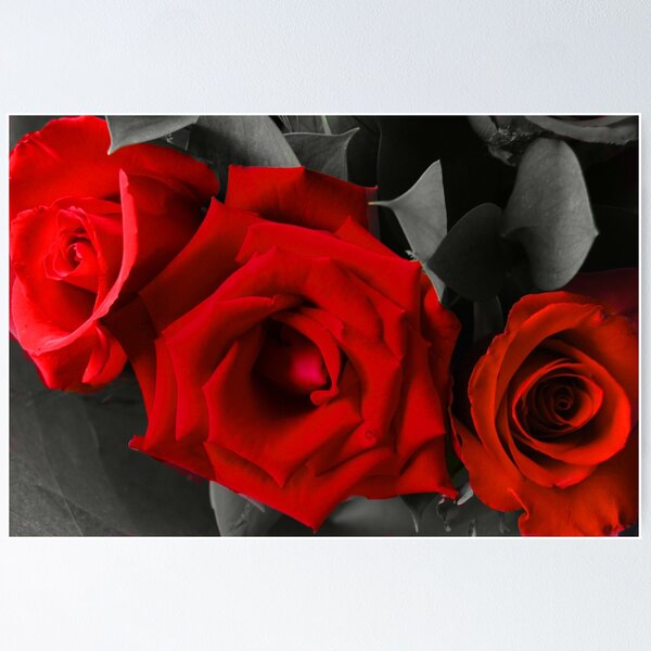 Item preview, Roses designed and sold by Mason1010.