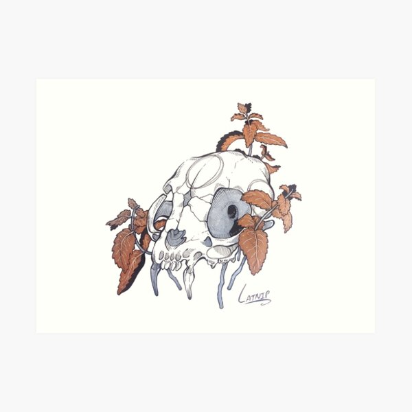 MorbidiTea - Catnip with Feline Skull Art Print