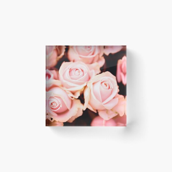 Item preview, Roses for Valentine designed and sold by Tadas  Svetikas.