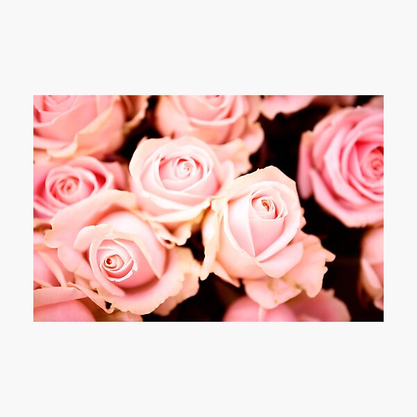 Item preview, Roses for Valentine designed and sold by Tadas  Svetikas.