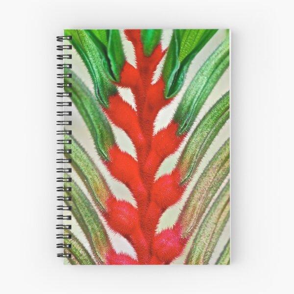 Item preview, Kangaroo Paw designed and sold by margowen.