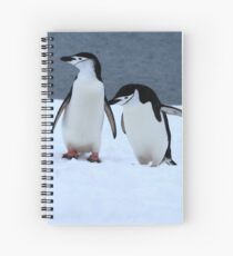 Chinstrap penguins in Antarctica, 2 Spiral Notebook