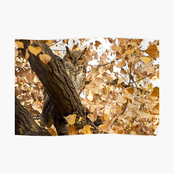 Blending in Poster