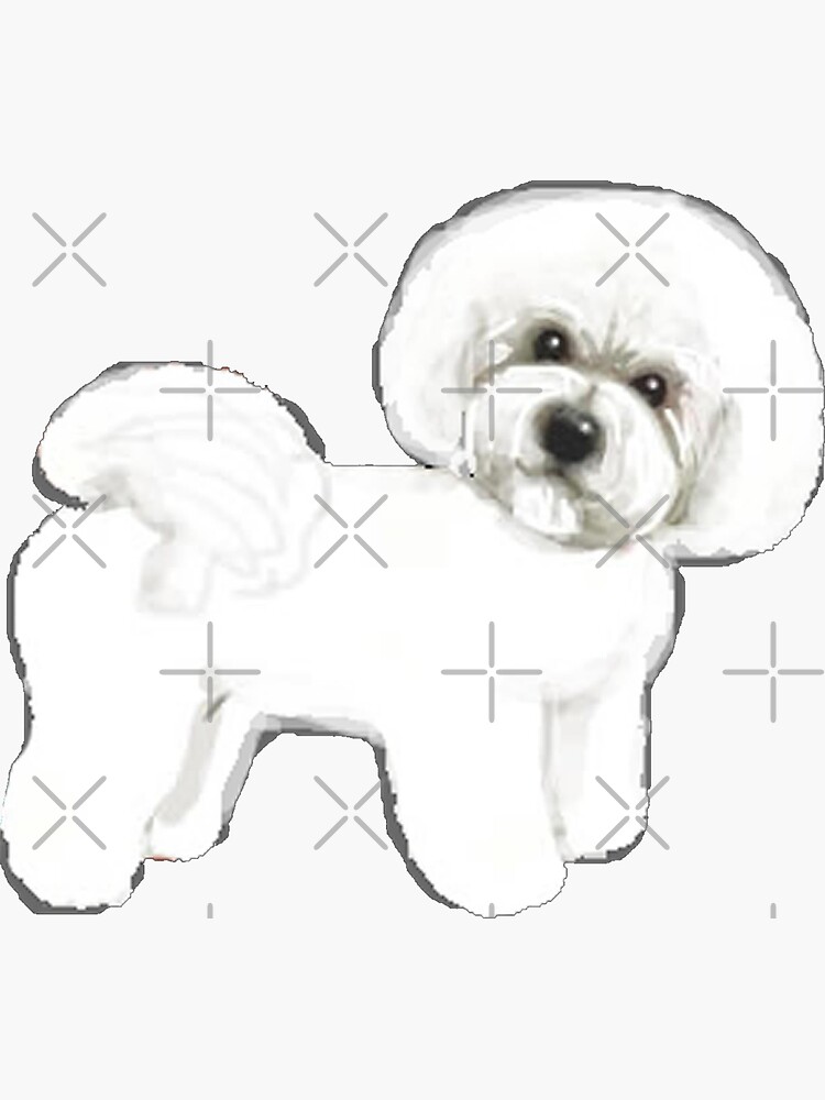 Bichon, best friend, loyal and fun! by MagentaRose