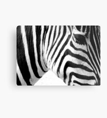 Banding Metal Print