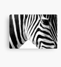 Banding Canvas Print