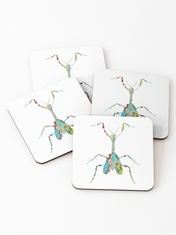 great gifts for insect lovers