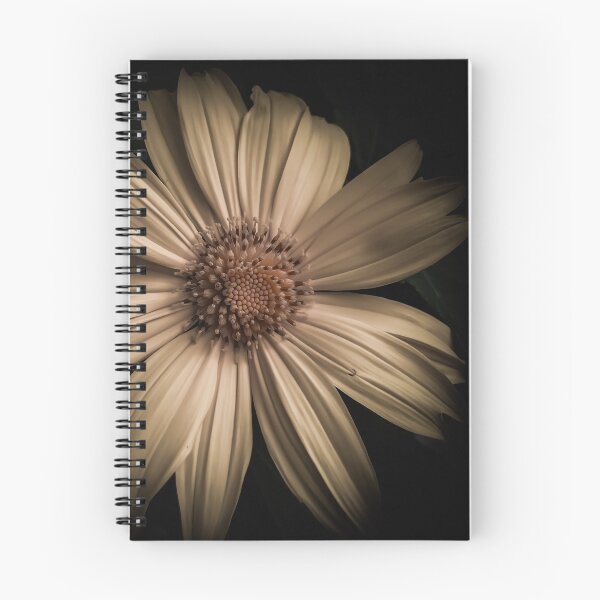 Item preview, Mellow Daisy designed and sold by JustOneMoment.