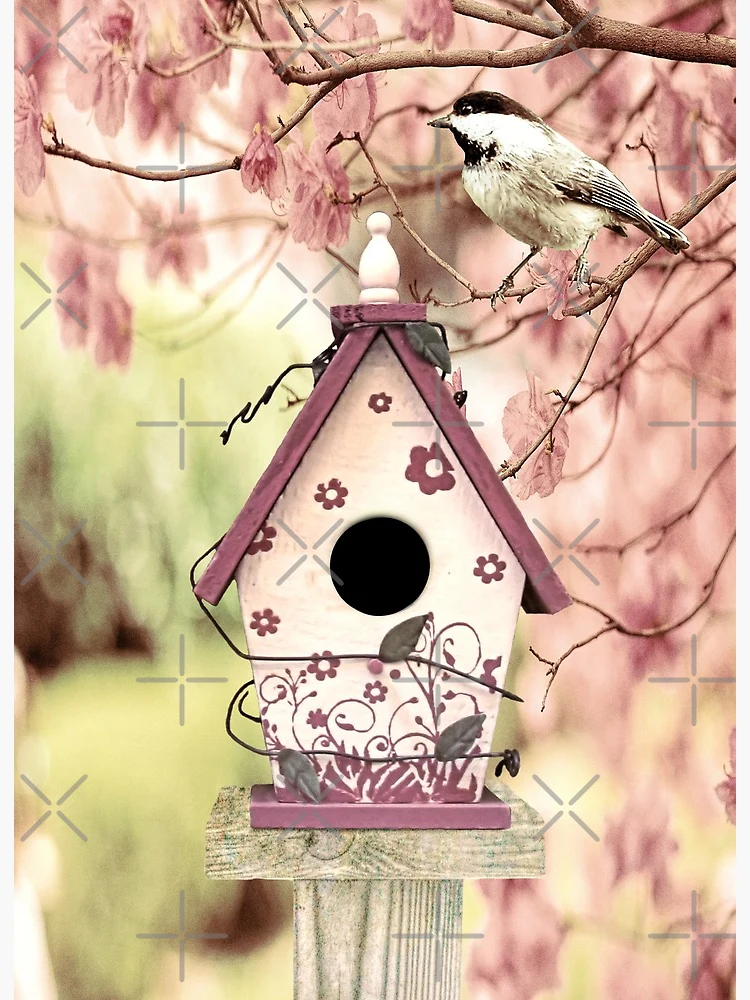 Store Peacock Feathers Birdhouse