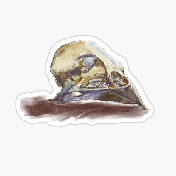 Bird Skull Sticker