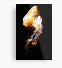 Enigma Metal Print