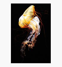Enigma Photographic Print